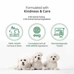 Abib - Jericho Rose Bifida Serum Firming Drop